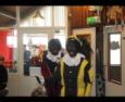 IMG 1478