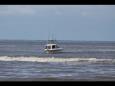 IMG 0842