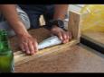 IMG 0890