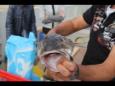 IMG 0899
