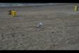 IMG 4047