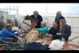 IMG 4061