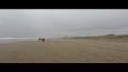 IMG 3009